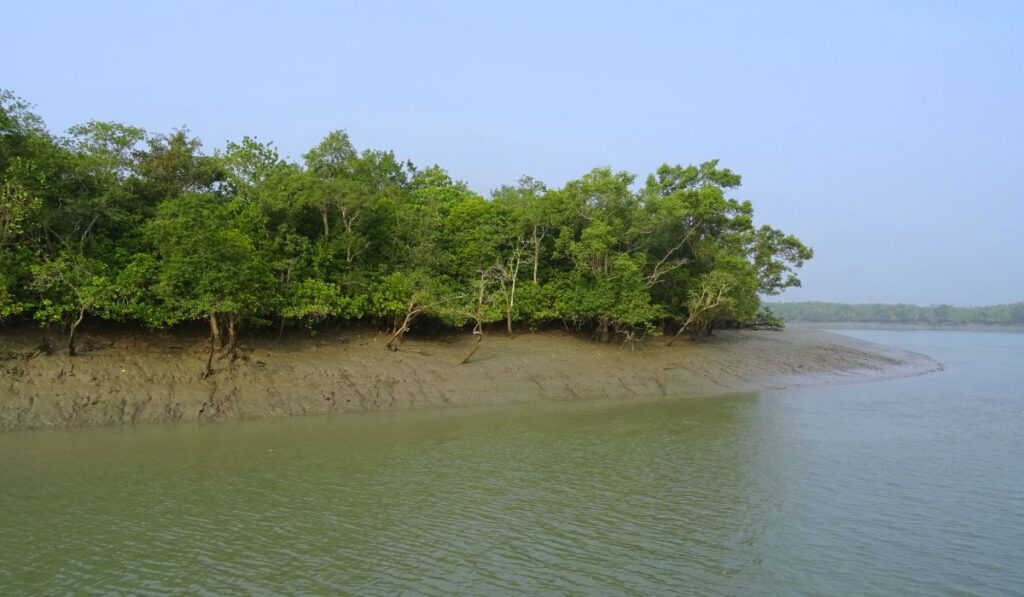 sundarbans national park 